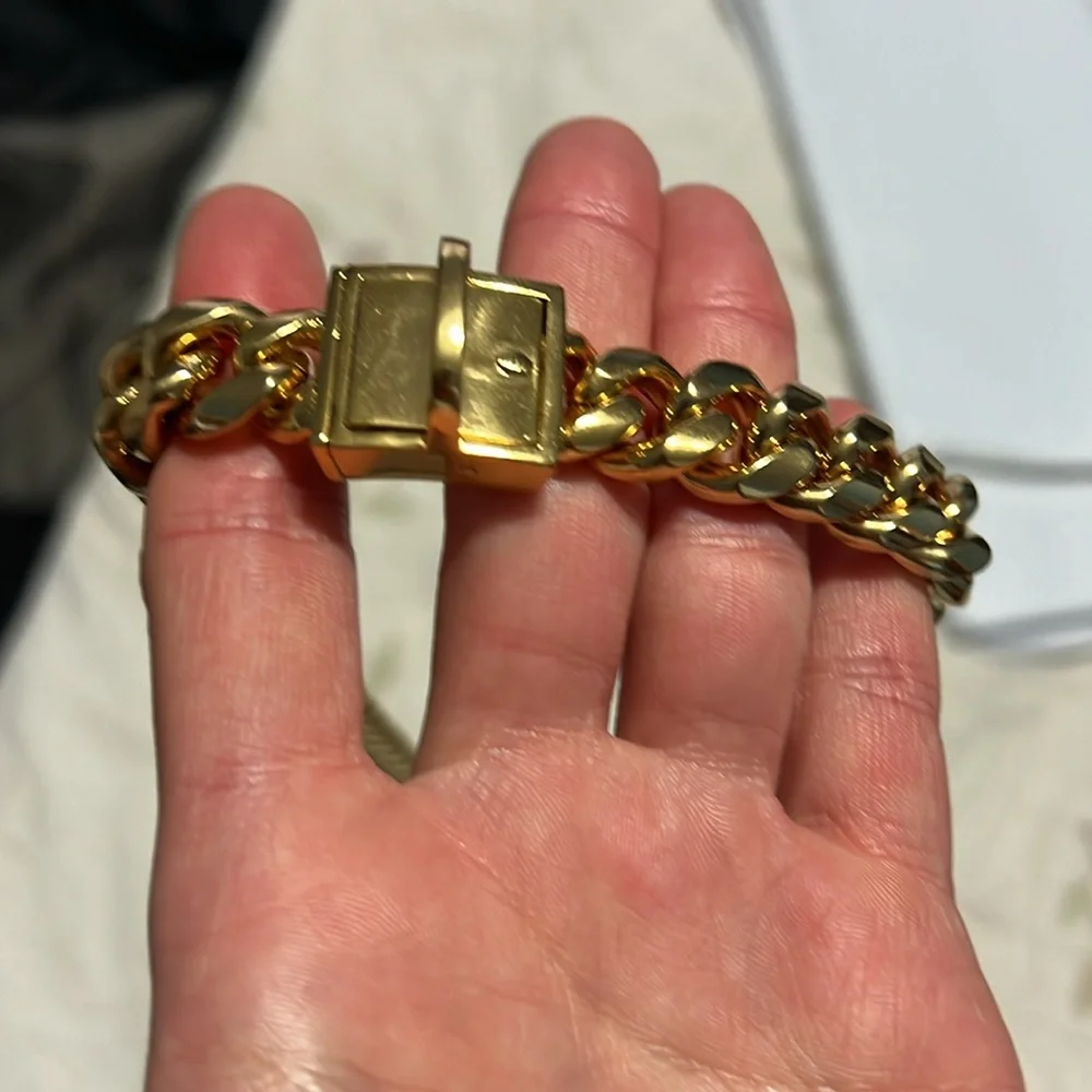 Stylish dog chain